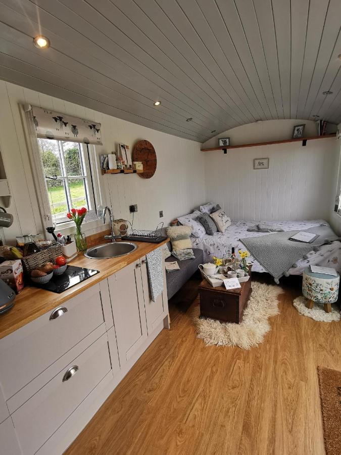 Elvan Farm Shepherd'S Hut Villa Ексетър Екстериор снимка