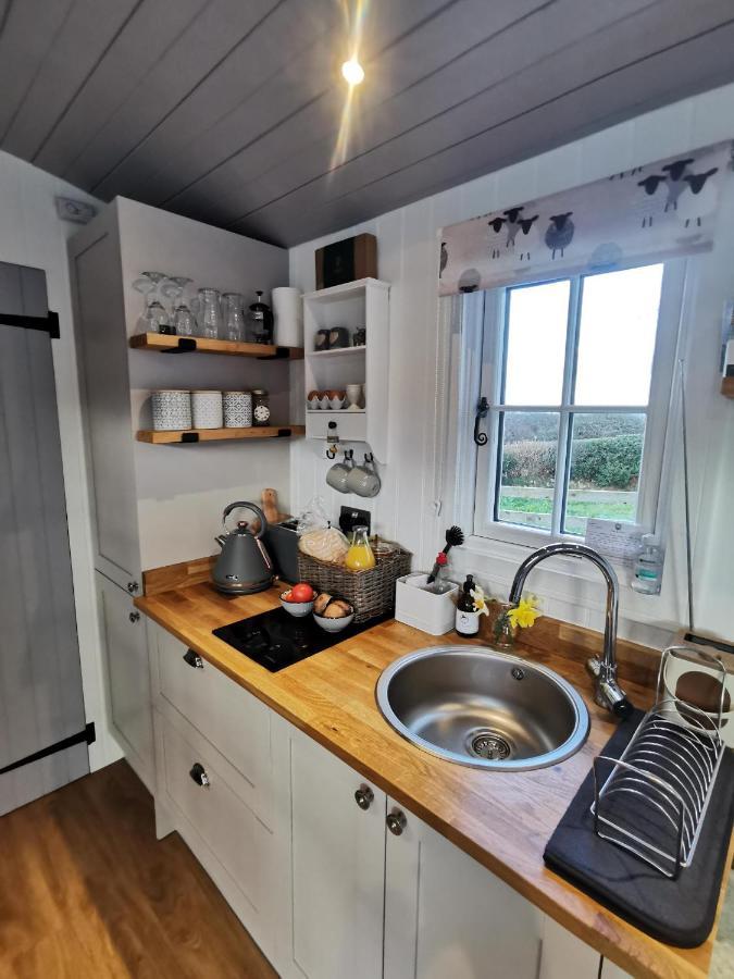 Elvan Farm Shepherd'S Hut Villa Ексетър Екстериор снимка