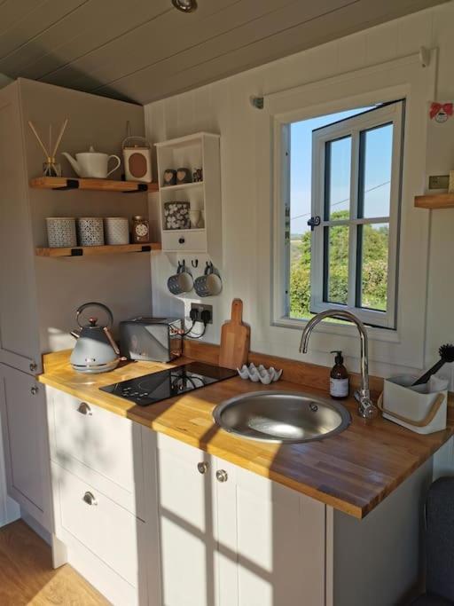 Elvan Farm Shepherd'S Hut Villa Ексетър Екстериор снимка