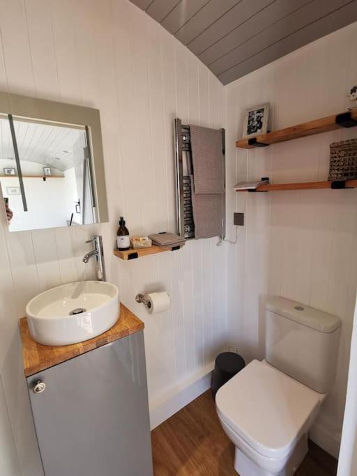 Elvan Farm Shepherd'S Hut Villa Ексетър Екстериор снимка