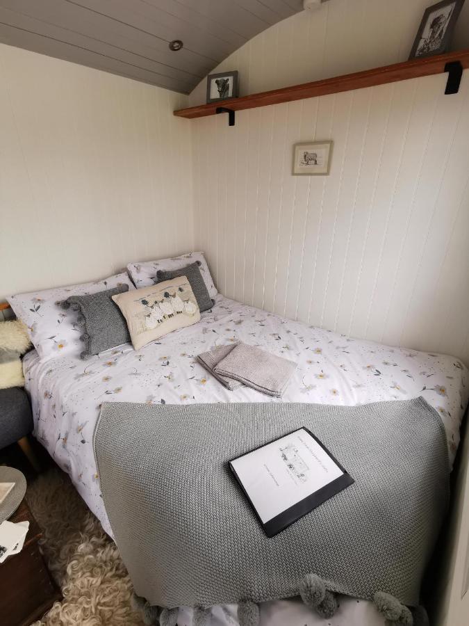 Elvan Farm Shepherd'S Hut Villa Ексетър Екстериор снимка